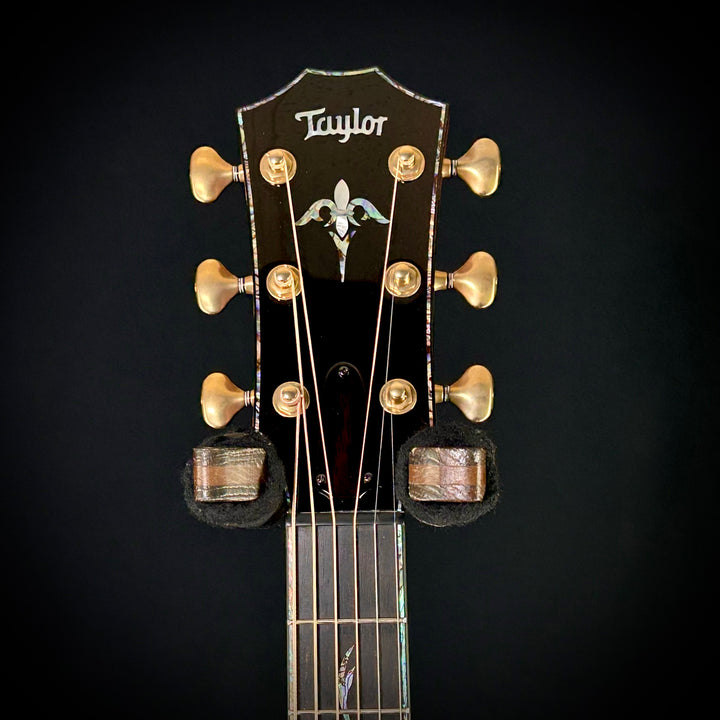 Taylor PS14ce (USED)