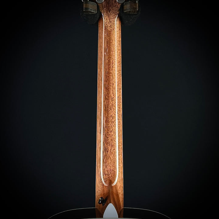 Taylor Legacy 810e