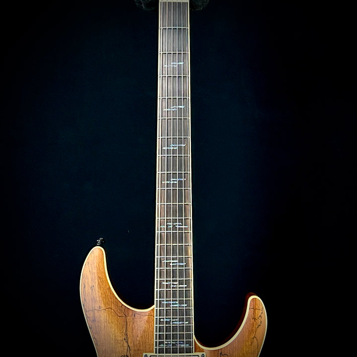 Schecter C-1 Exotic - Spalted Maple