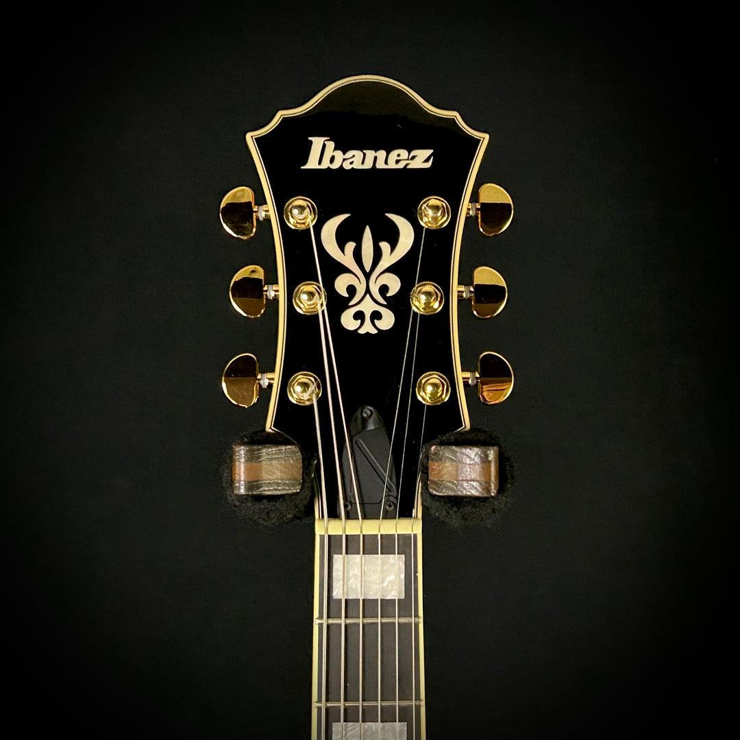 Ibanez Artcore Expressionist AF95FM