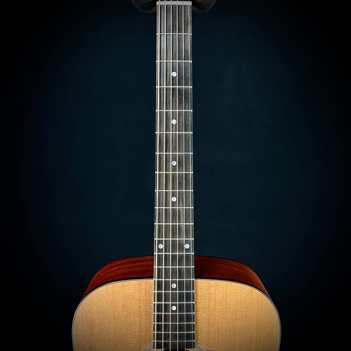 Eastman E1D