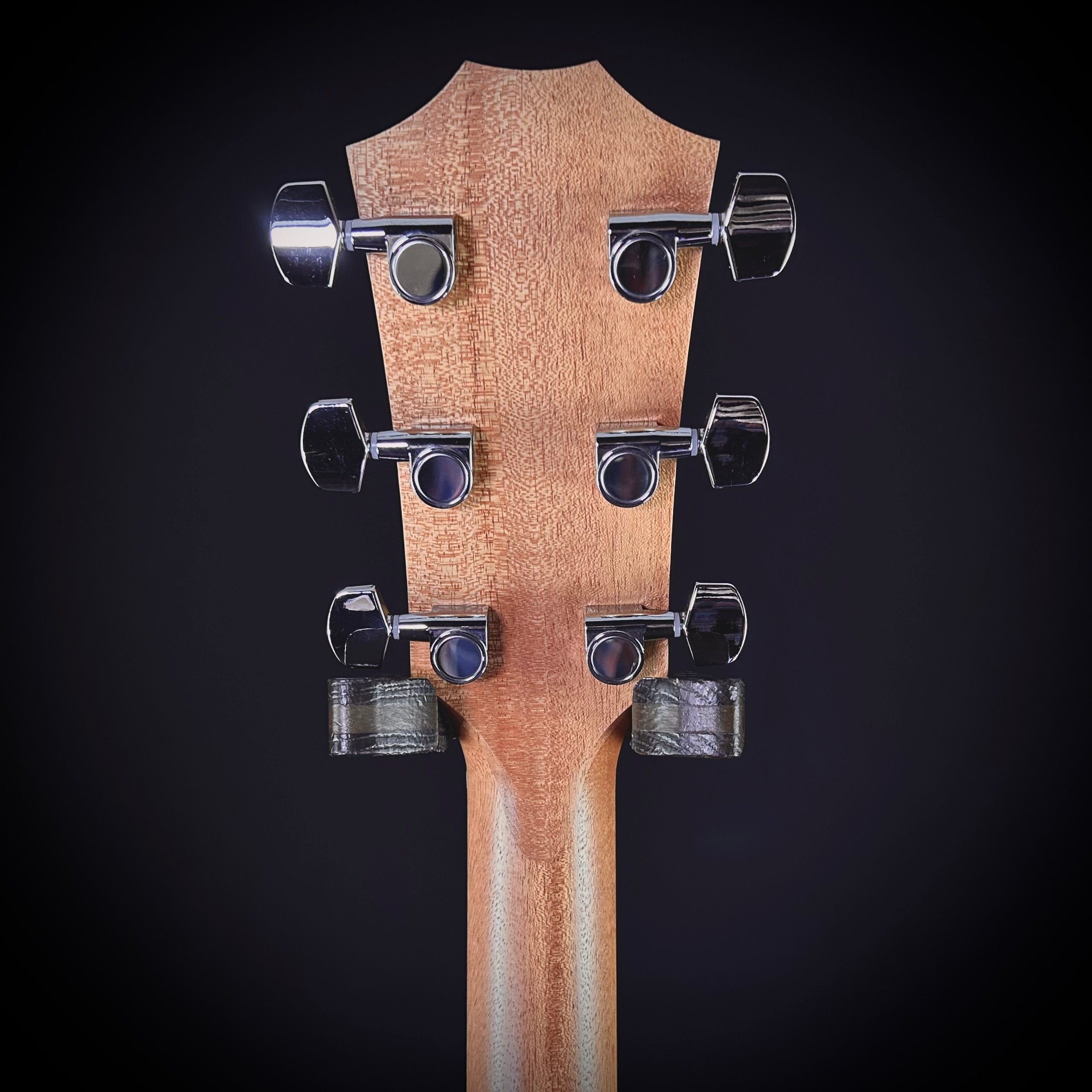 Taylor Academy 12E – Music Villa MT