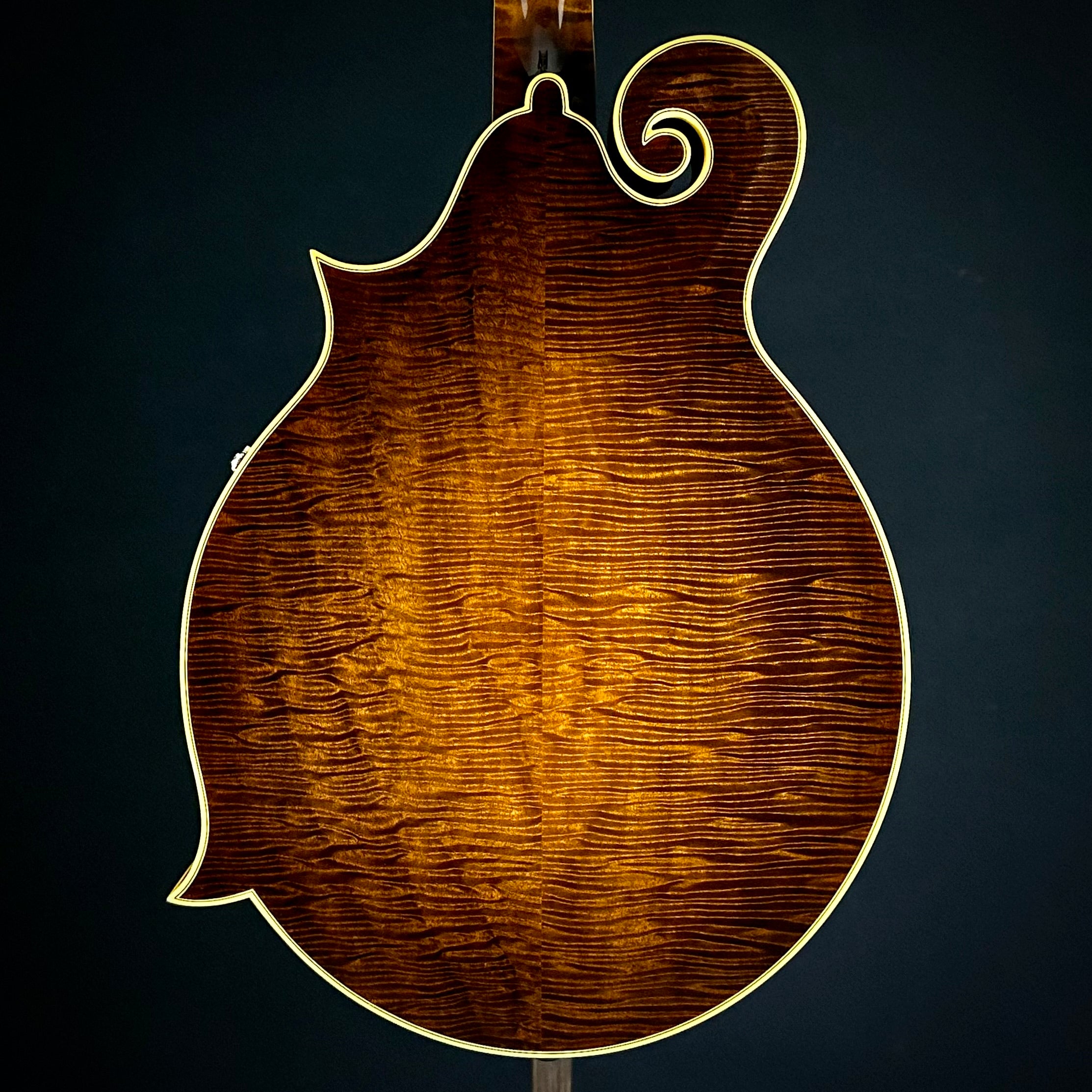 Gibson 1923 F-5 Master Model Reissue – Music Villa MT