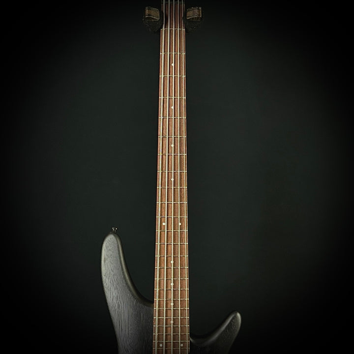 Ibanez SR305 5-String Bass