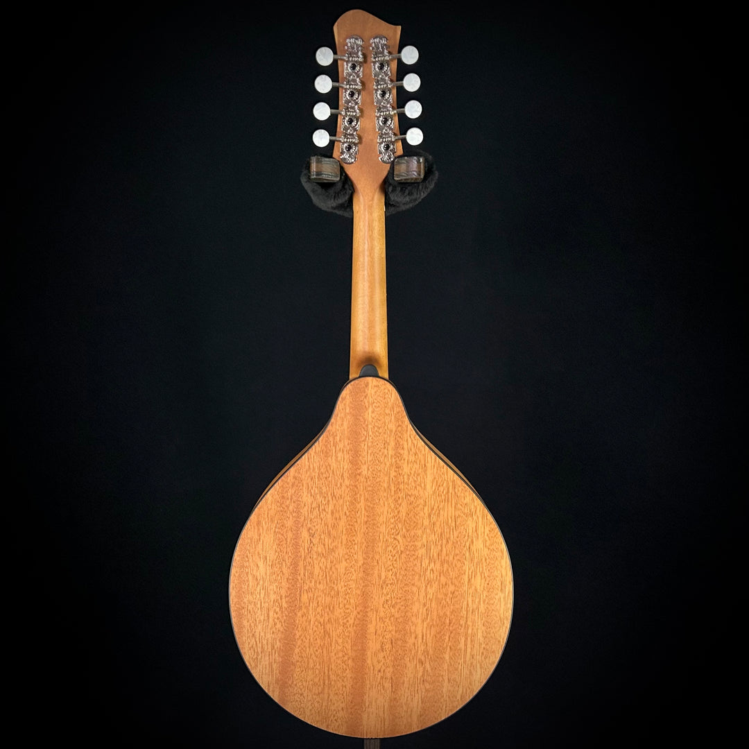 Eastman PCH-M104 - Gold Burst