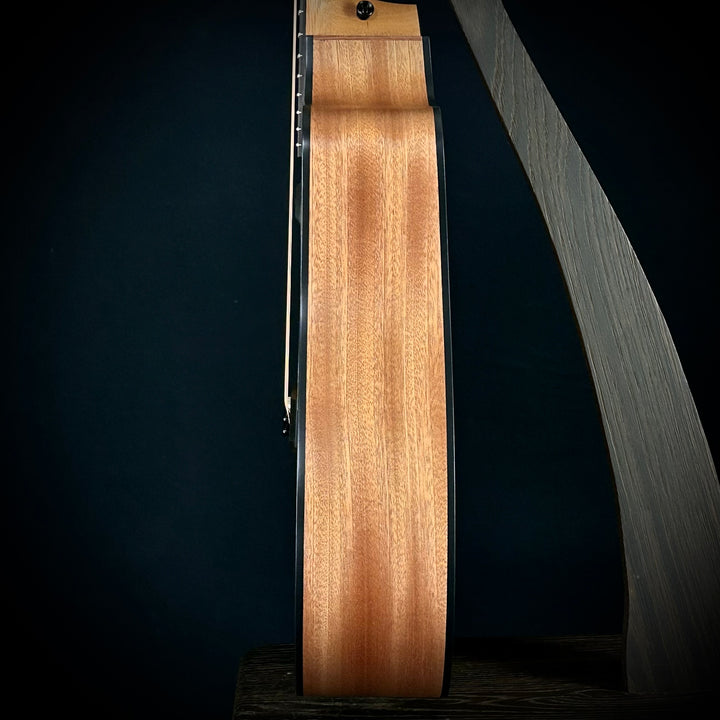 Taylor 150CE - Bajo Quinto