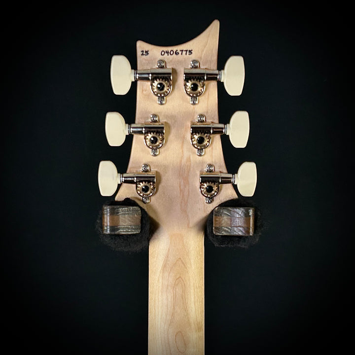 PRS Swamp Ash Special