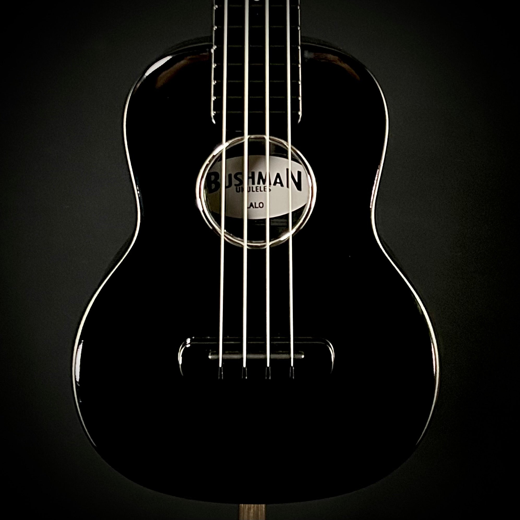 Bushman Carbon Fiber Uke w/PU - Black – Music Villa MT