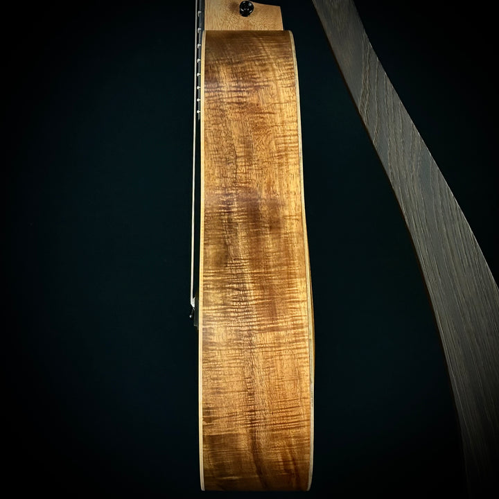 Taylor GS Mini-E Limited - Figured KOA