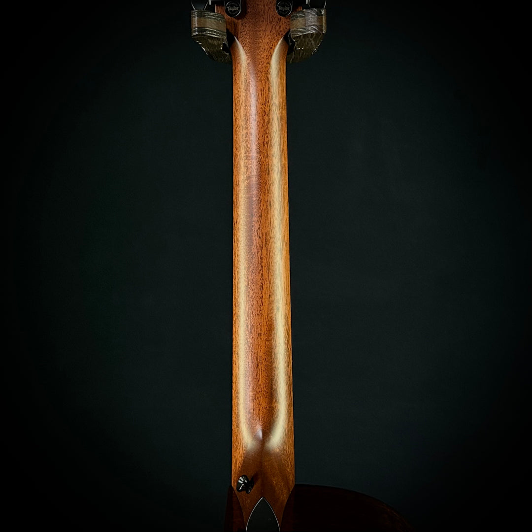 Taylor MV Custom 9-String - Grand Auditorium