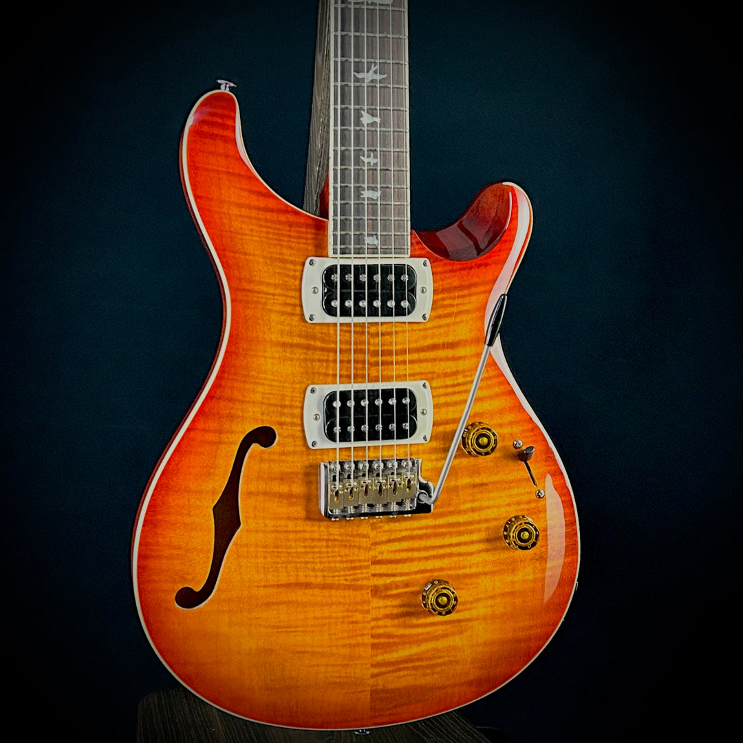 PRS SE Custom 24 Semi-Hollow Piezo