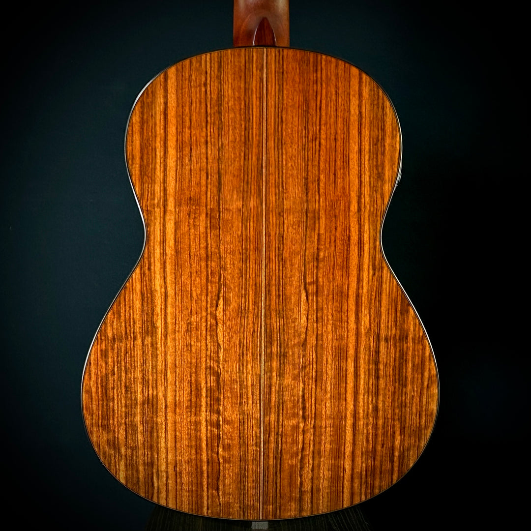 Yamaha CG TransAcoustic - Nylon