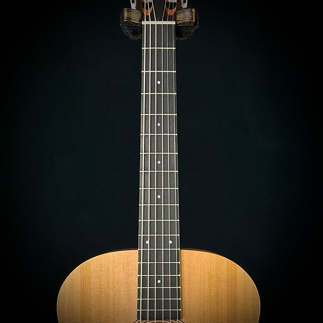 Taylor Academy 12E Nylon String