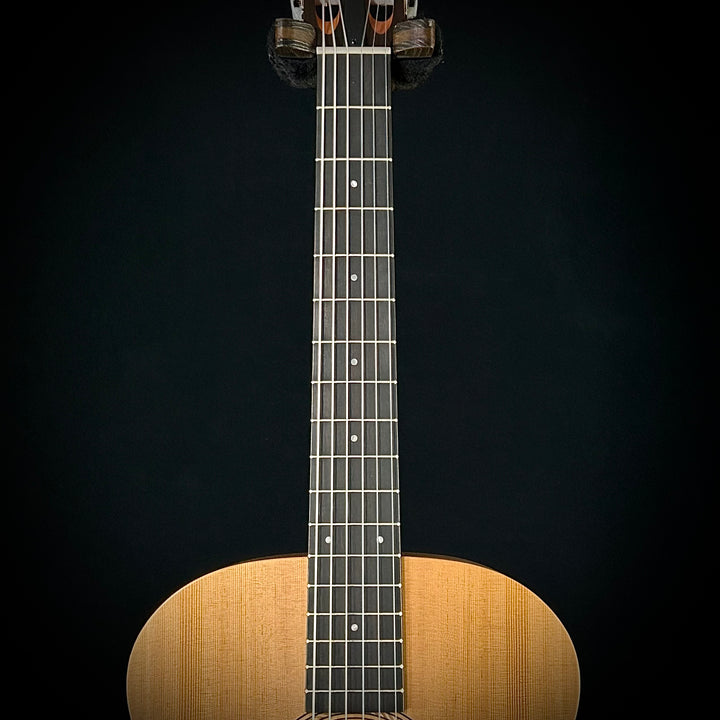 Taylor Academy 12E Nylon String