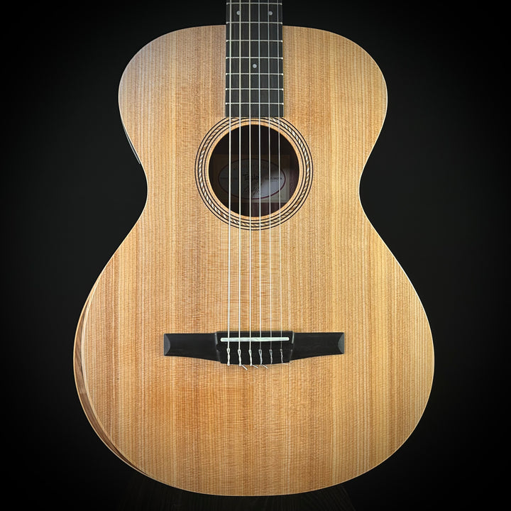 Taylor Academy 12e-Nylon