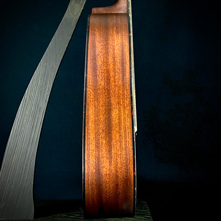 Eastman E1D