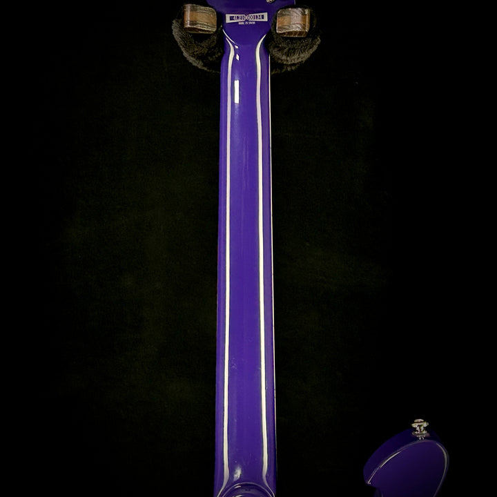 Ibanez Paul Gilbert Signature FRM300 (USED)