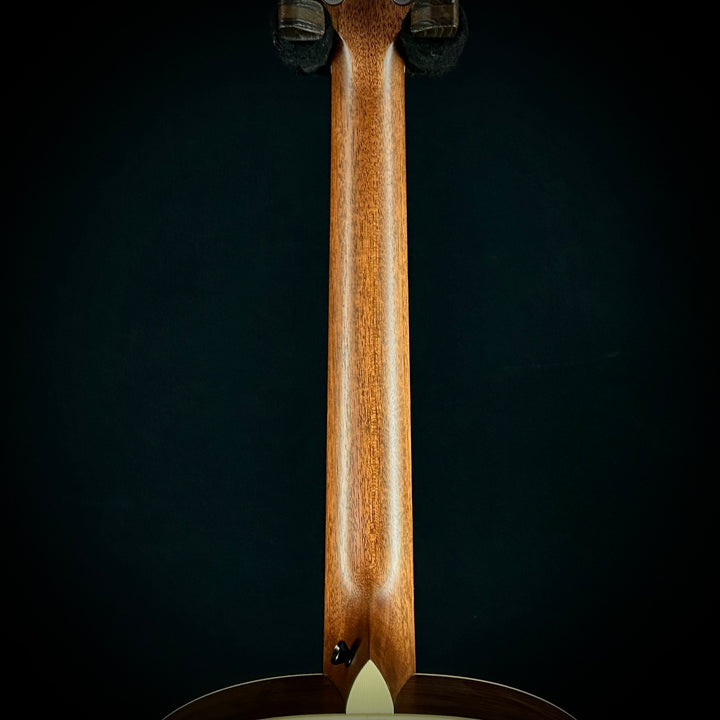 Taylor C18 MV Custom - Rosewood