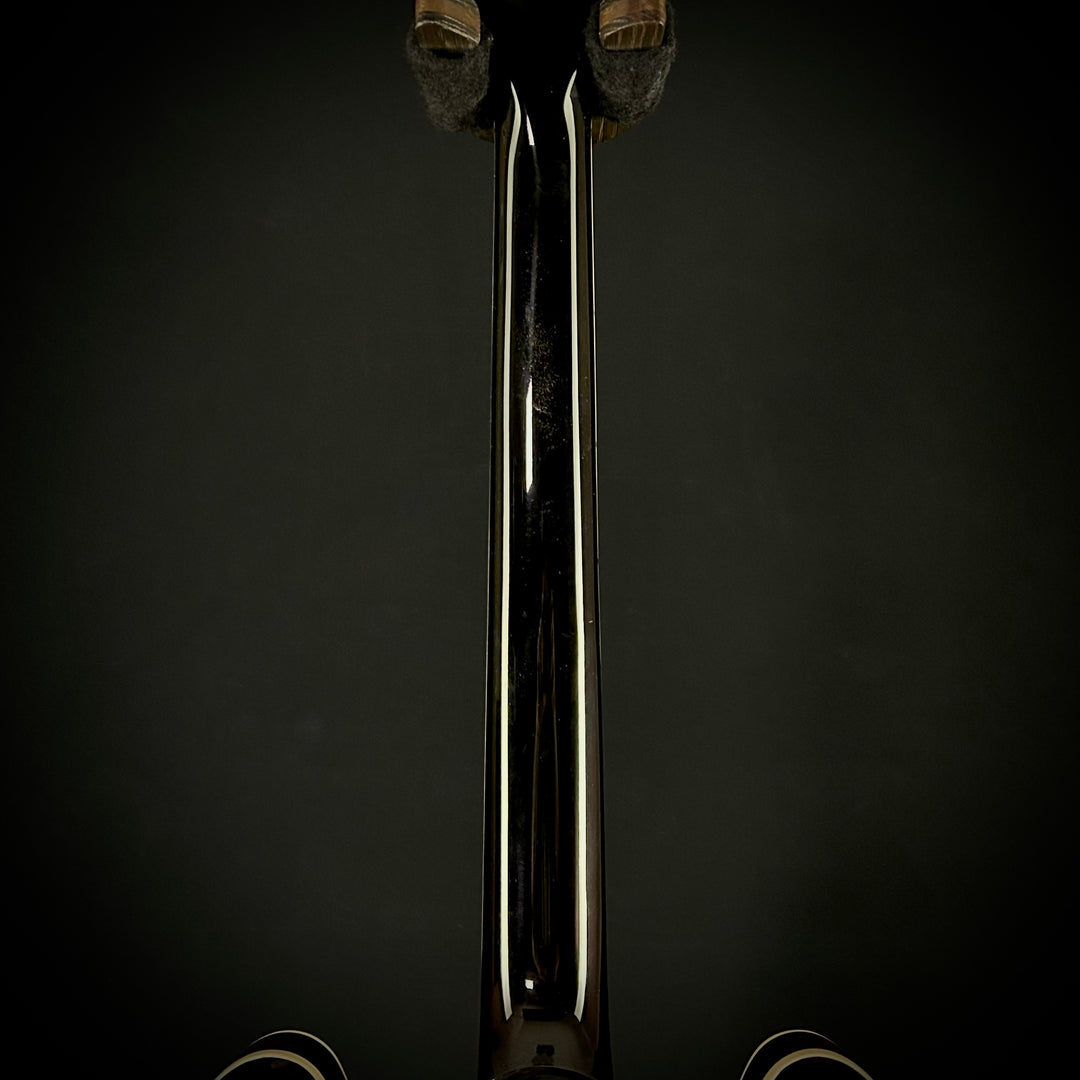 Gibson ES-335 Figured