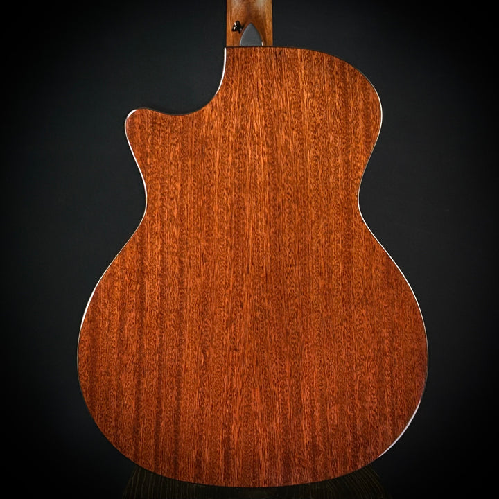 Taylor MV Custom 9-String - Grand Auditorium