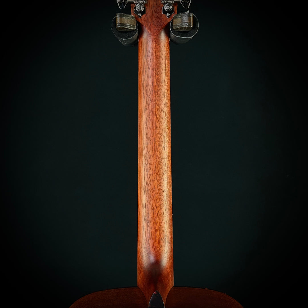 Eastman E1D