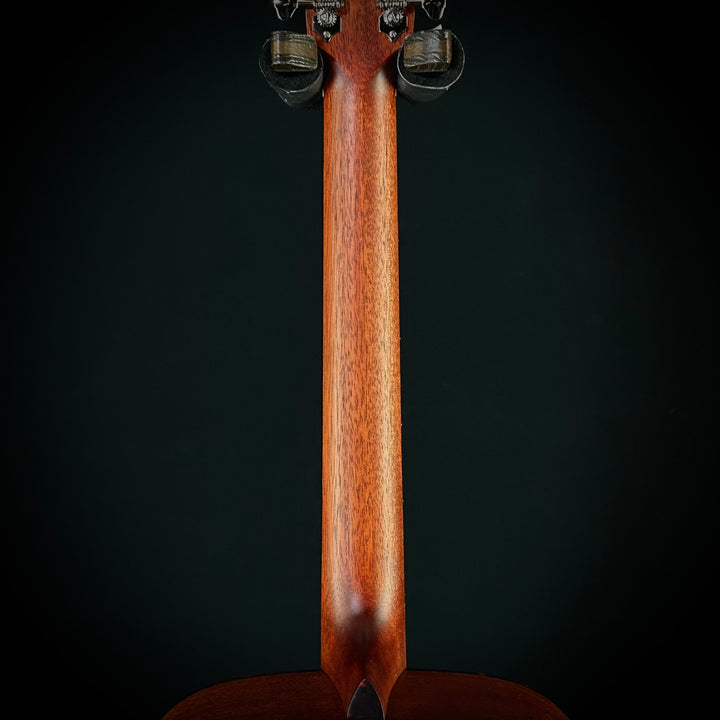 Eastman E1D