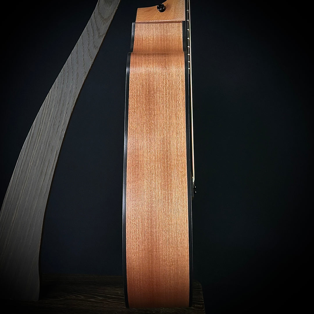 Taylor 150CE - Lefty