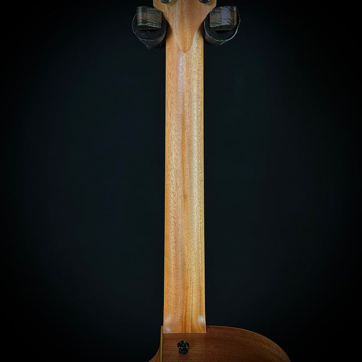 Taylor 14CE - Torrefied Spruce
