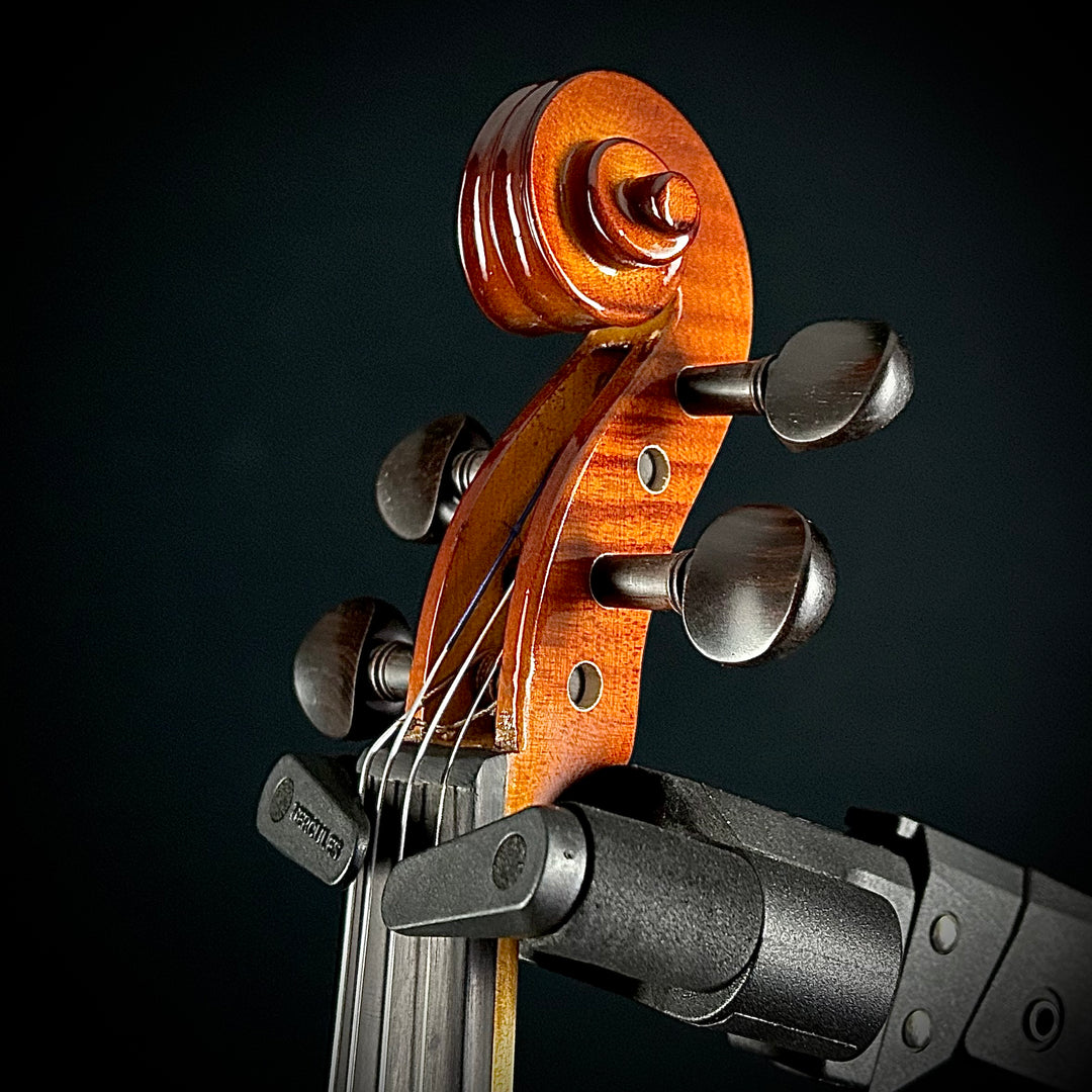 Albini Violin Package (Sizes 4/4, 3/4, 1/2, 1/4)