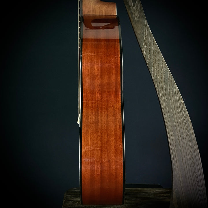 Gold Tone Tenor Guitar