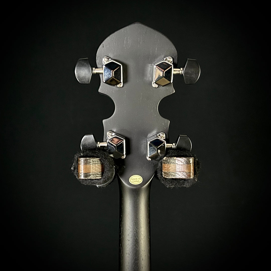 Gold Tone AC-1 - Lefty