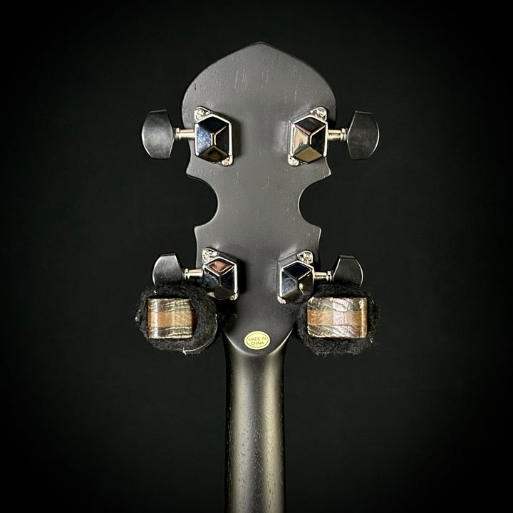 Gold Tone AC-1 - Lefty