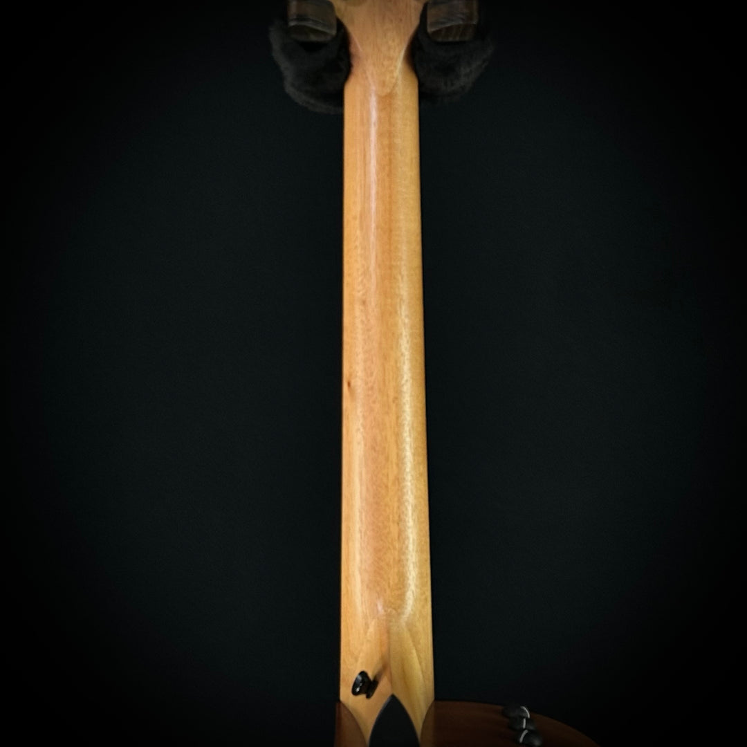 Taylor 114ce - Sapele