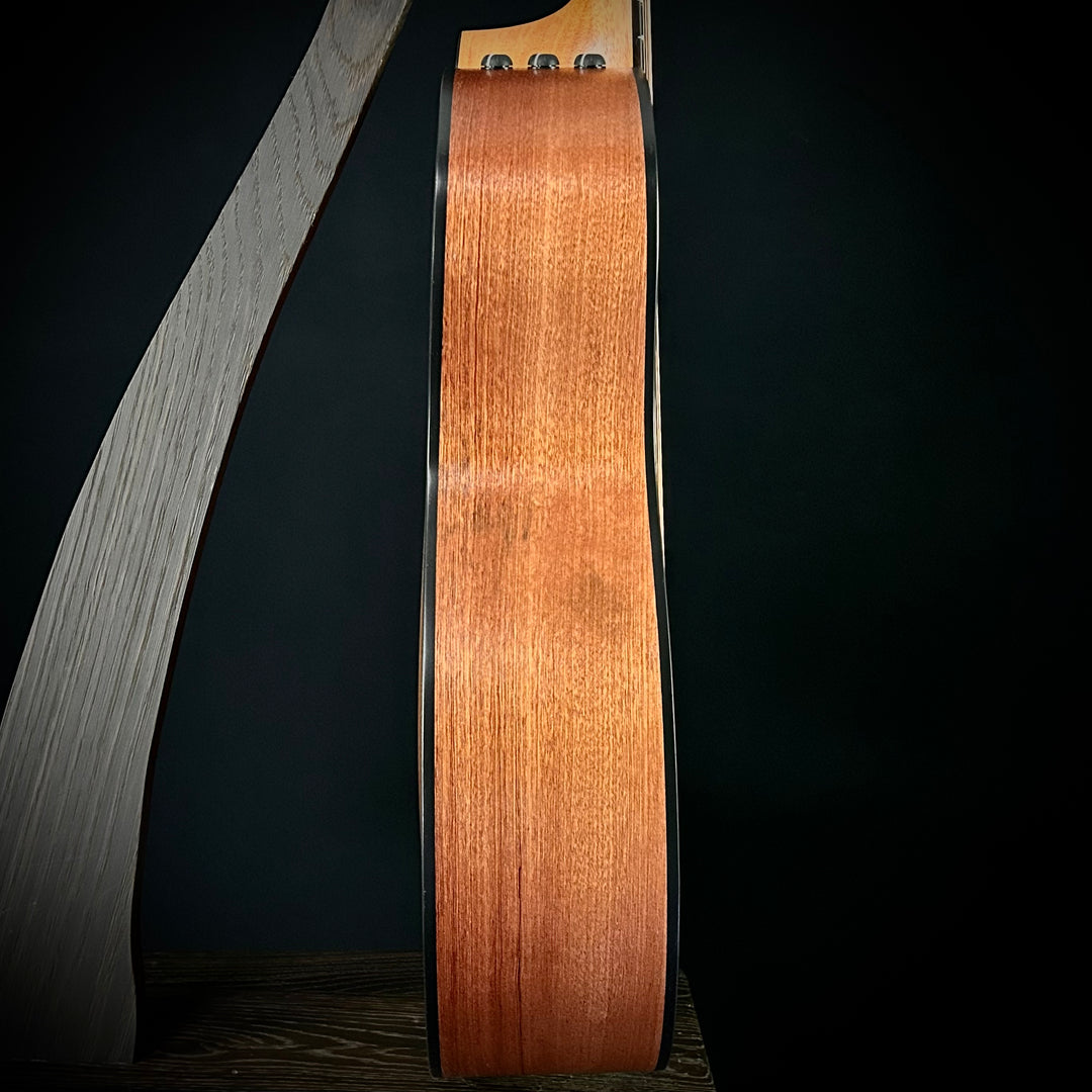 Taylor 114ce - Sapele