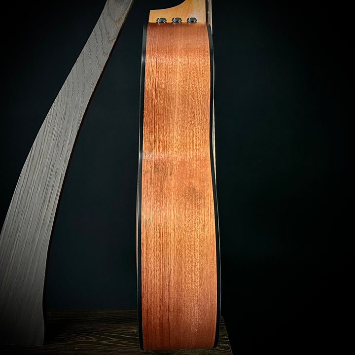 Taylor 114ce - Sapele