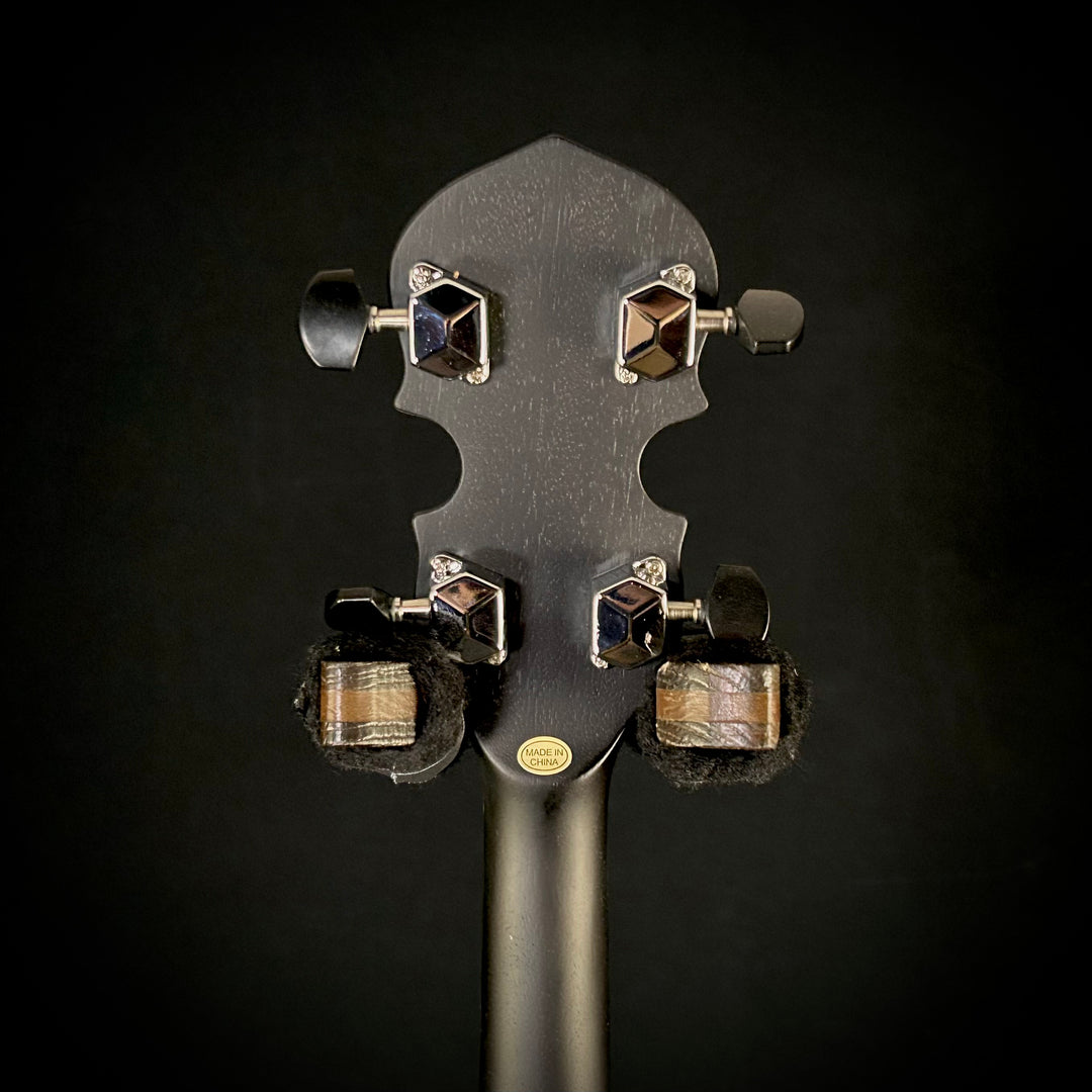 Gold Tone AC-1 Banjo