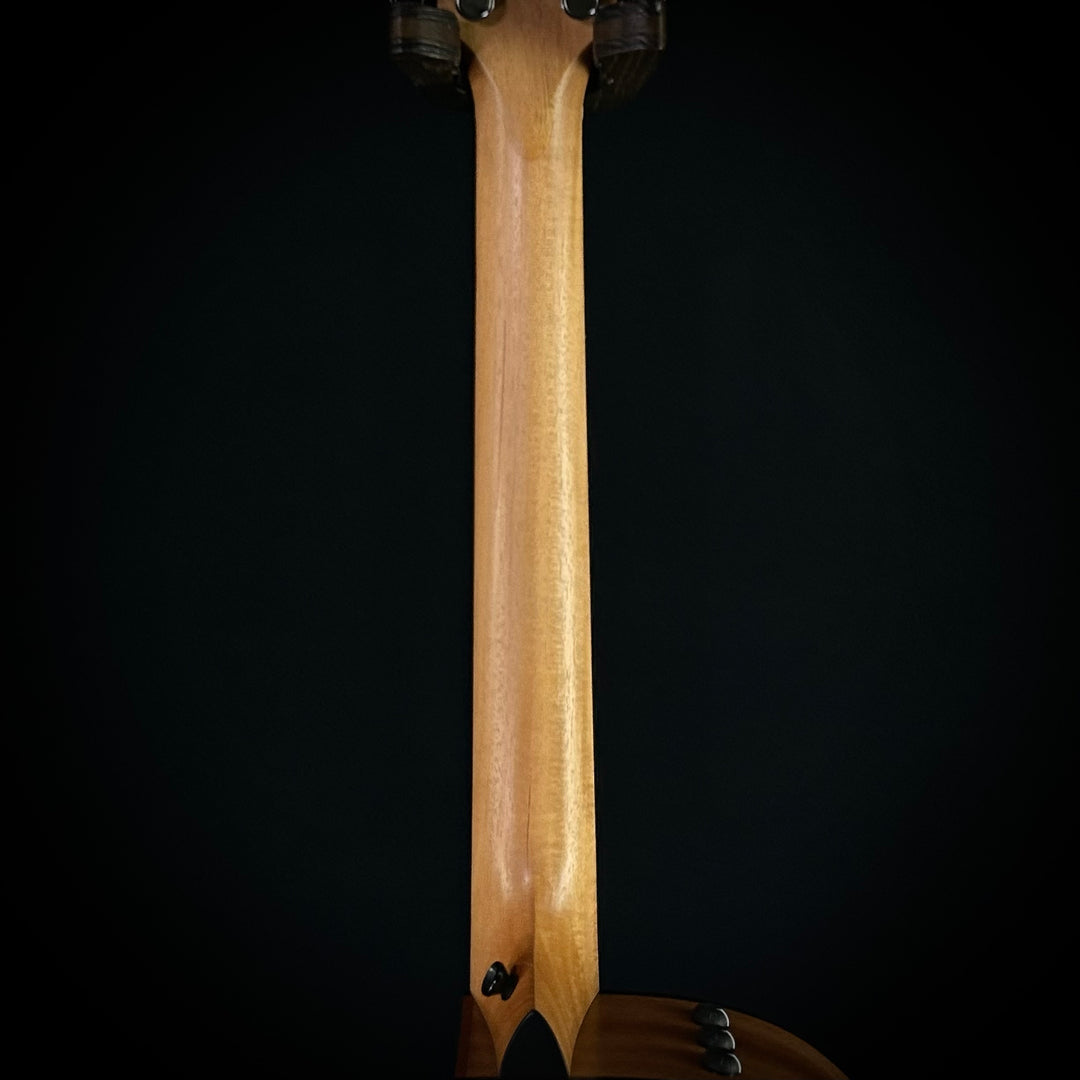 Taylor 114CE