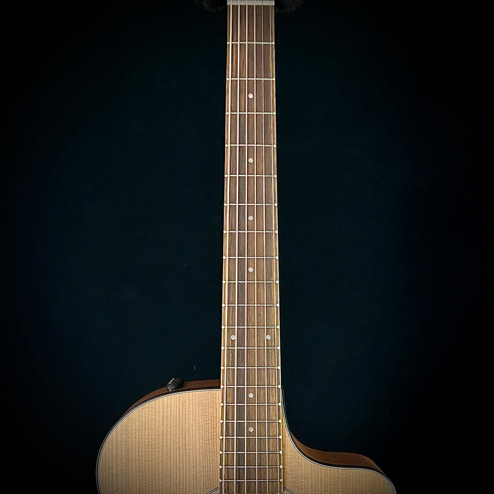 Taylor 112CE - Sapele