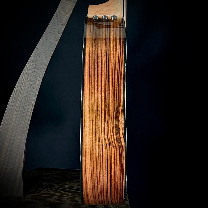 Taylor 254ce Plus - 12-String