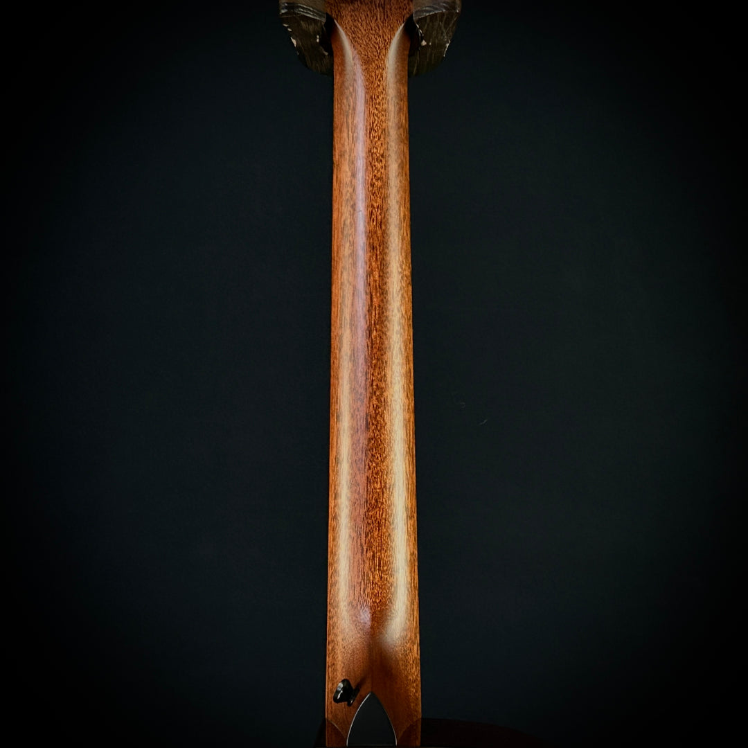 Taylor MV Custom Baritone-6 - Grand Auditorium