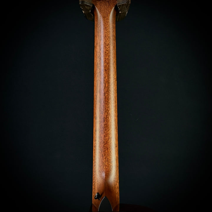 Taylor MV Custom Baritone-6 - Grand Auditorium