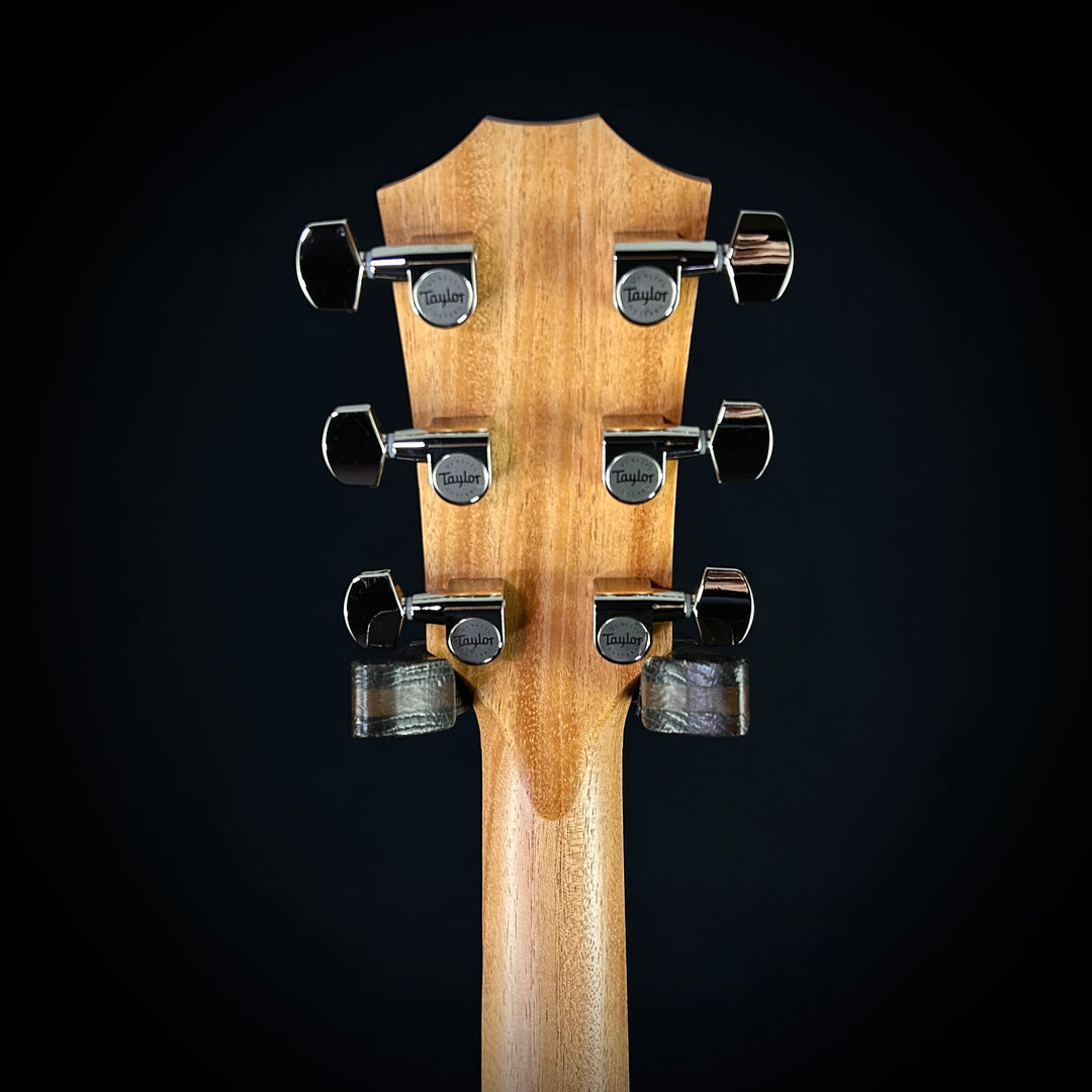 Taylor 210CE Plus