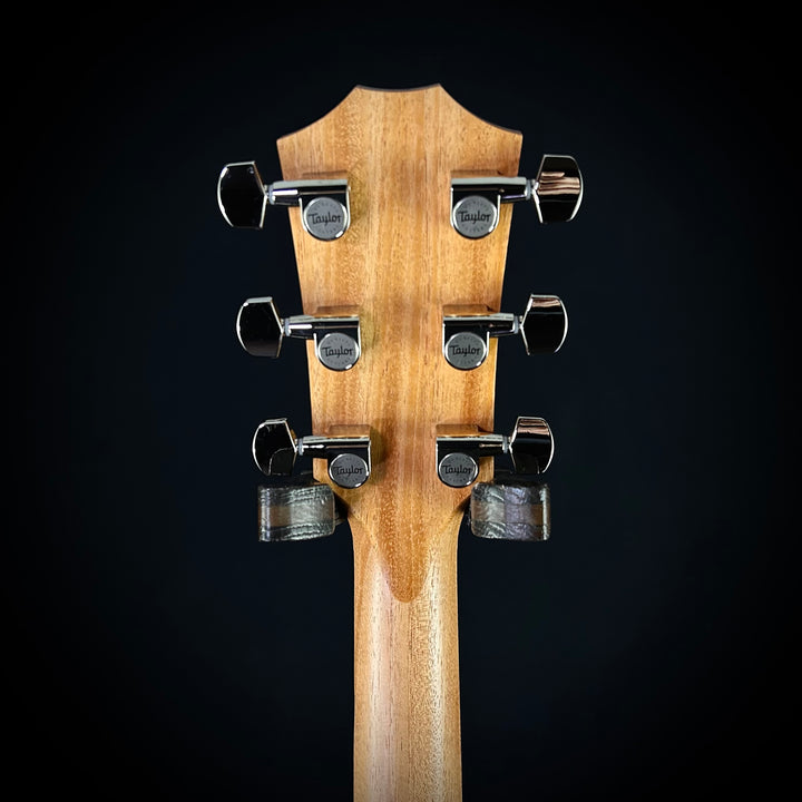 Taylor 210CE Plus