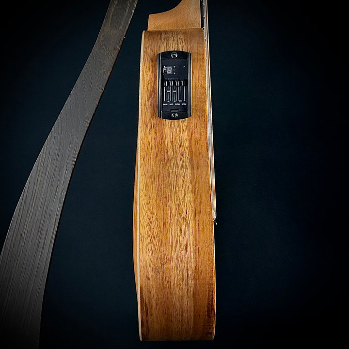 Taylor GS Mini-e Koa