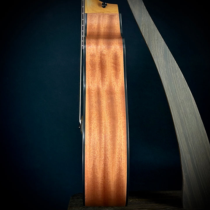 Taylor 114ce - Sapele