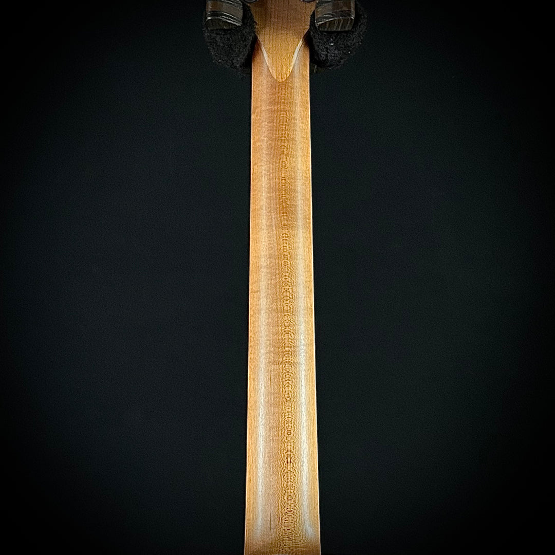 Taylor 24CE - Mahogany Top