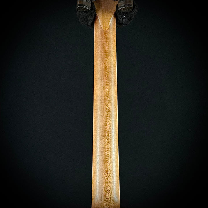 Taylor 24CE - Mahogany Top