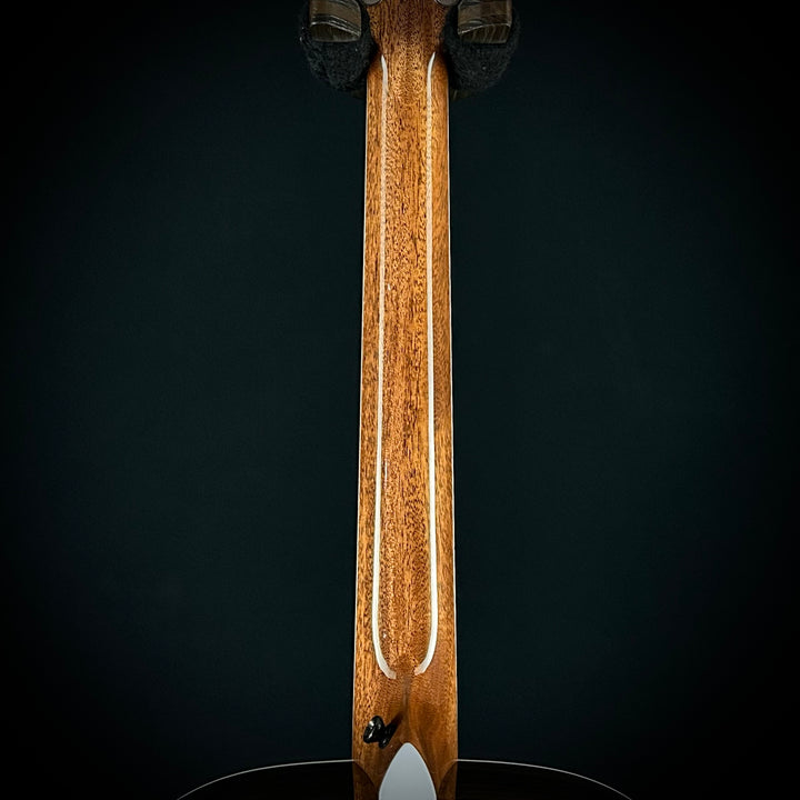 Taylor Legacy 810e