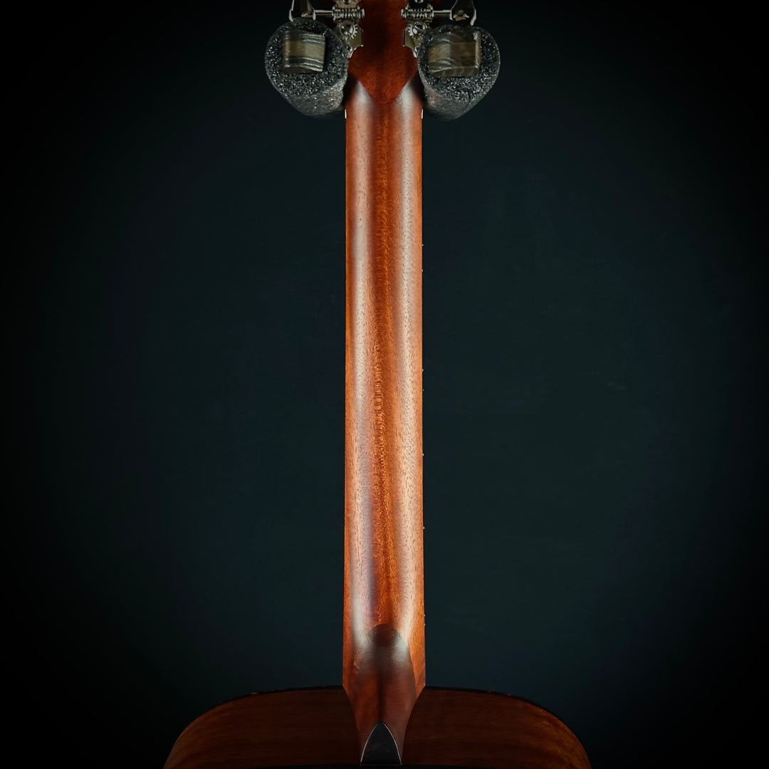 Eastman E1D