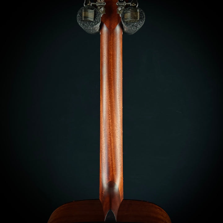 Eastman E1D